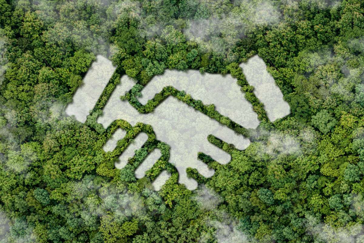 CPP Investments for Climate Action: A Step Towards Sustainable Finance