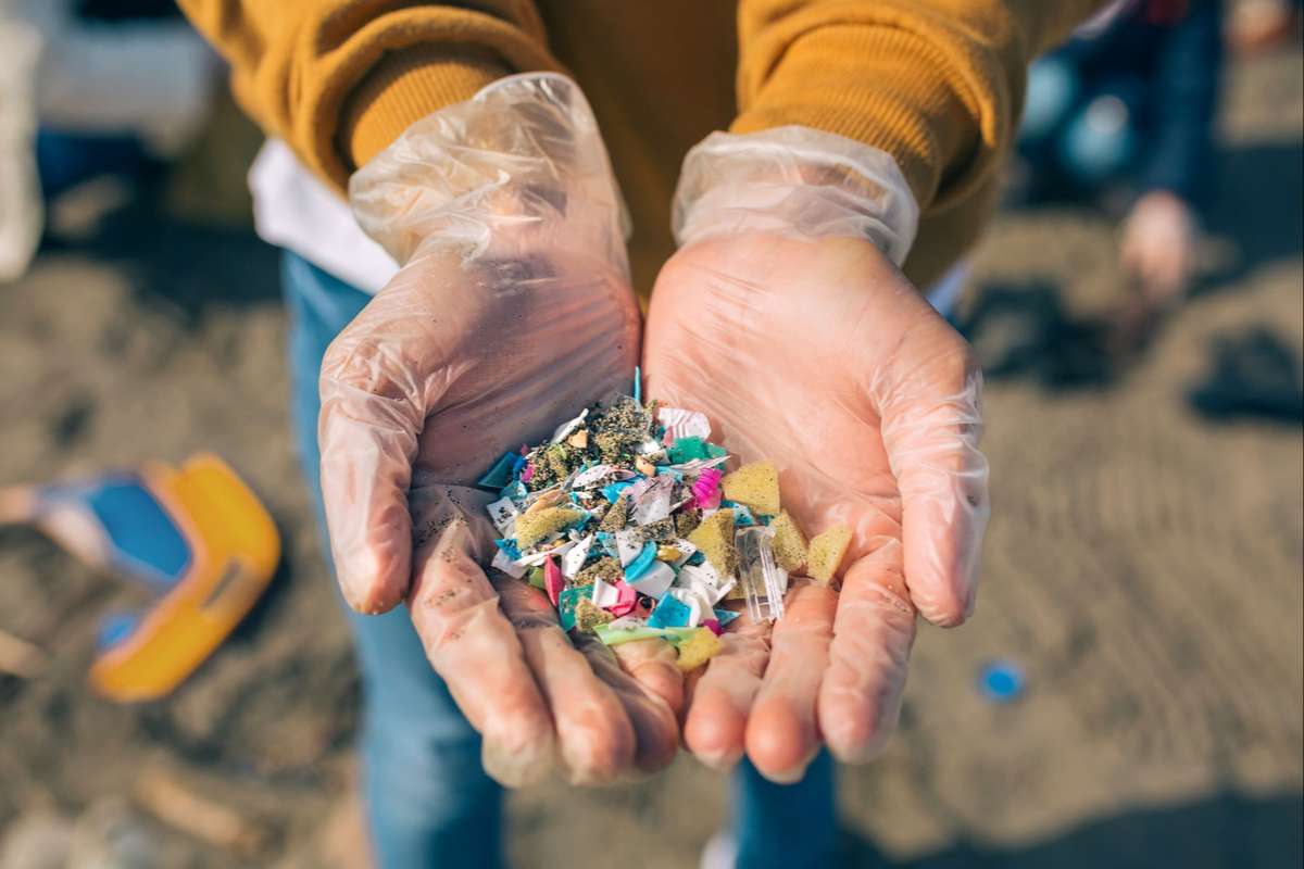 Plastic Pollution Campaign: Mobilizing for a Cleaner Future